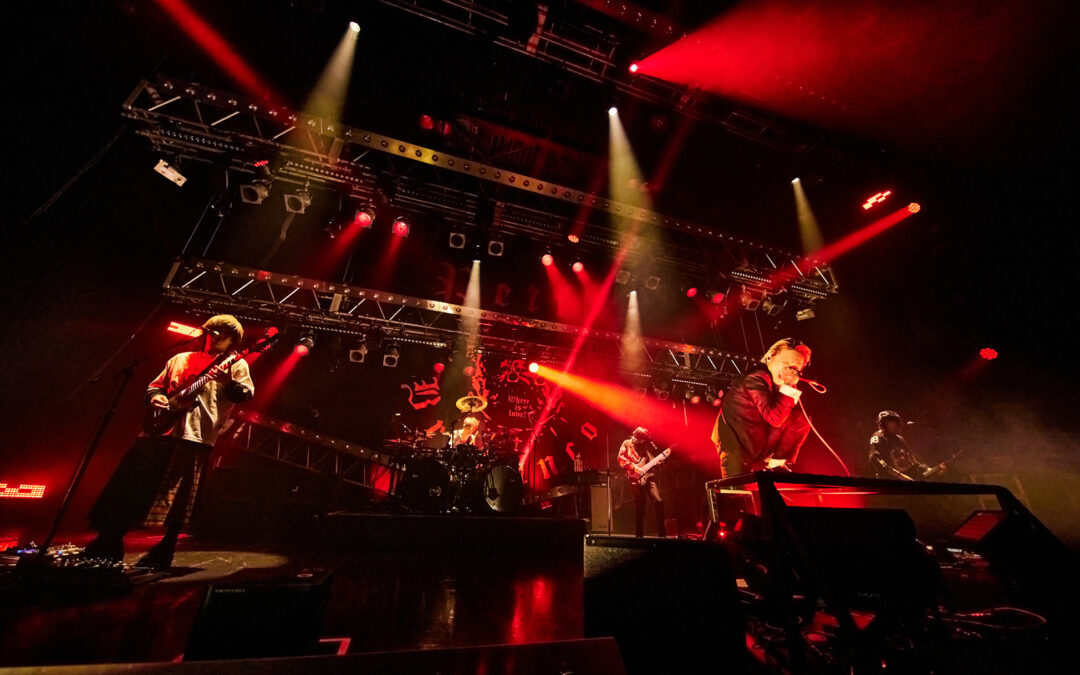 Petit Brabancon | Live-Report @ Zepp DiverCity, Tokyo [JP] (2023)