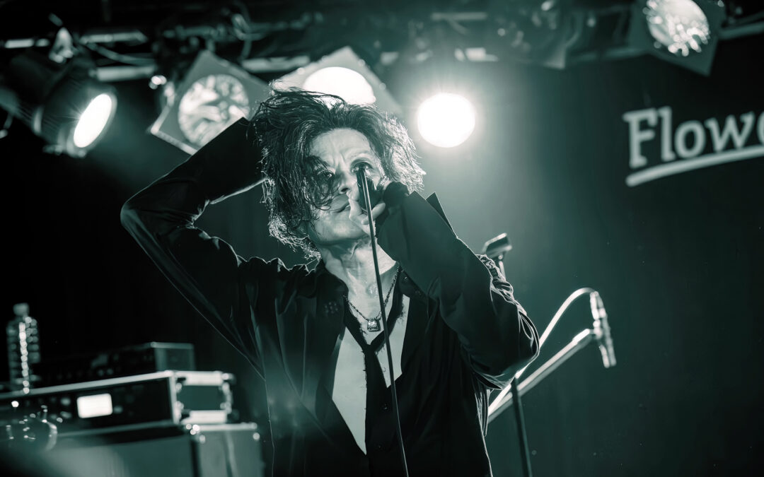 Far-East Phallus Kicker | Live-Photo @ Flowers Loft, Tokyo [JP] (2024)