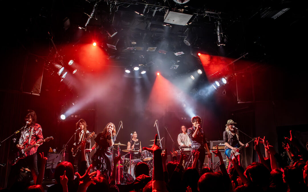 DER ZIBET | Live-Photo @ Kōenji HIGH, Tokyo [JP] (2025)